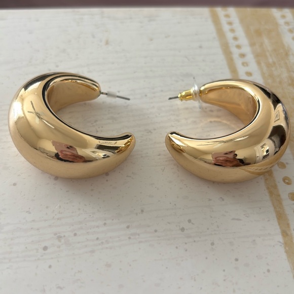 Earrings - Picture 1 of 1